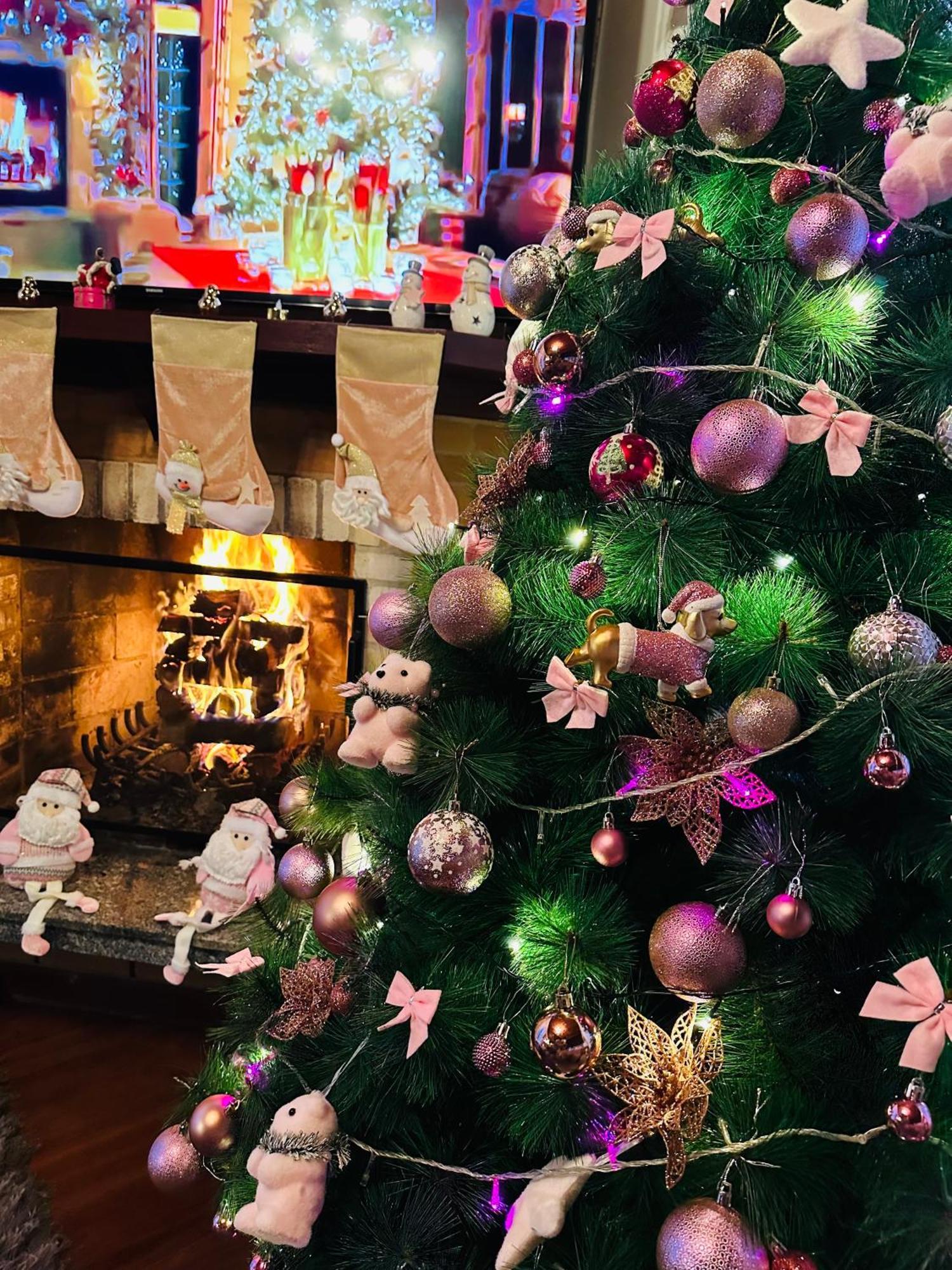 Pink Village *
